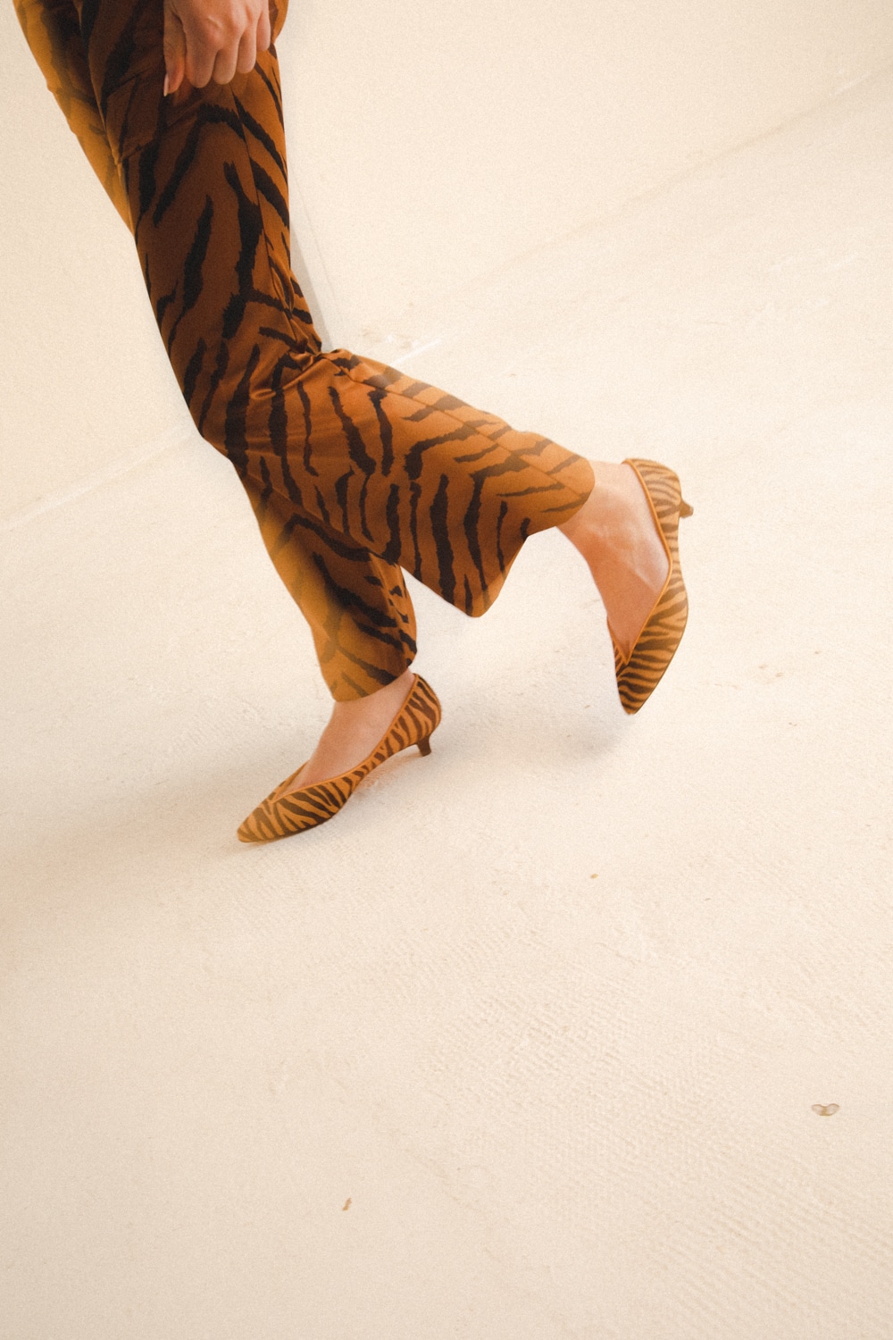 Zapatos Tacon Kitten Animal Print TIGRE3