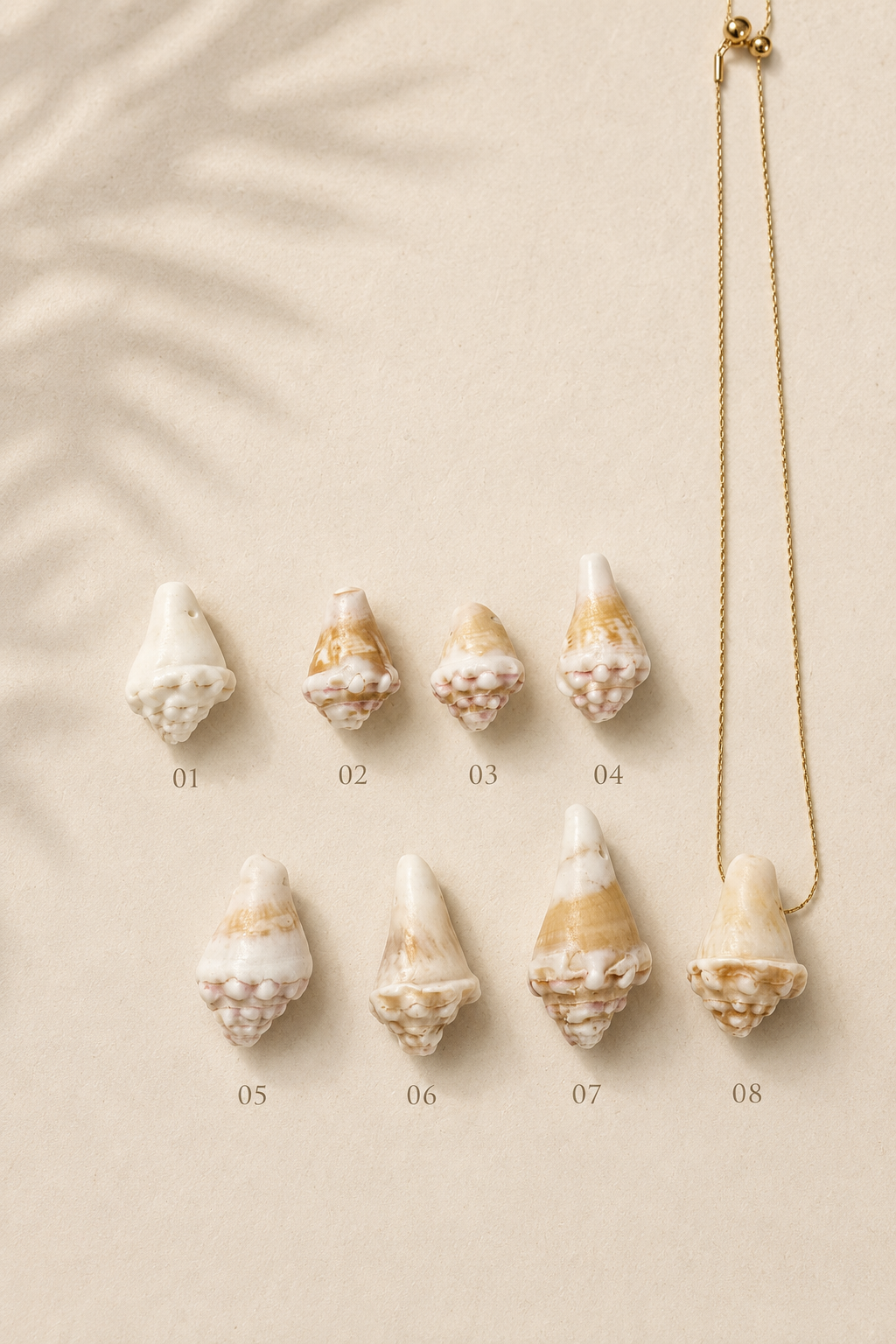 Collar Caracola Natural - Imagen 2