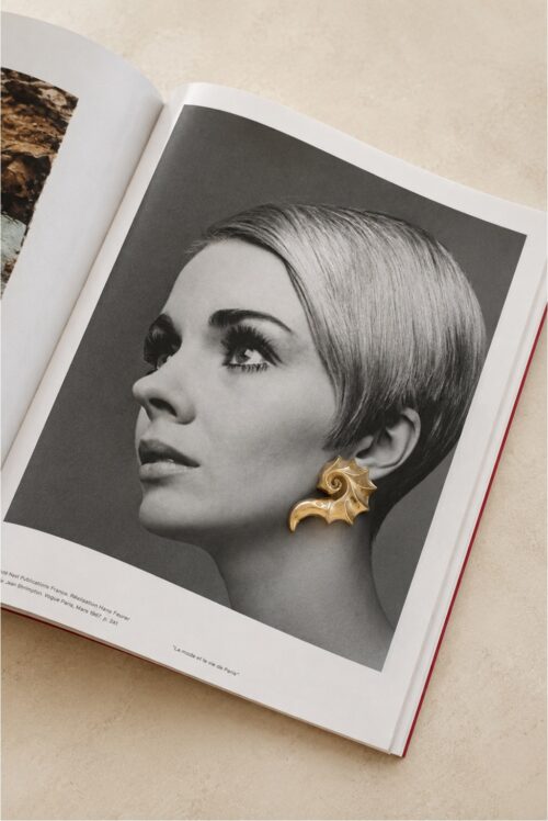 Seashell Earrings